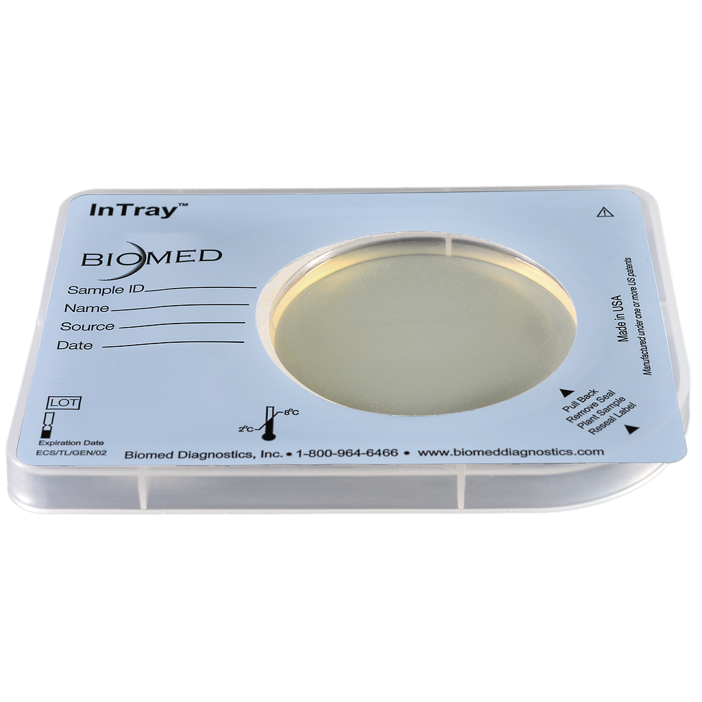 InTray COLOREX™ VRE 20pk