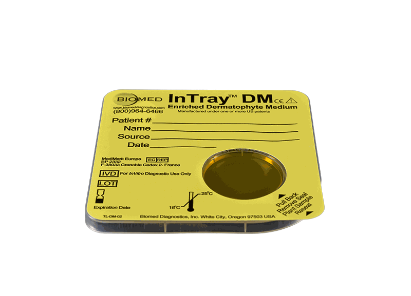 InTray DM 20pk